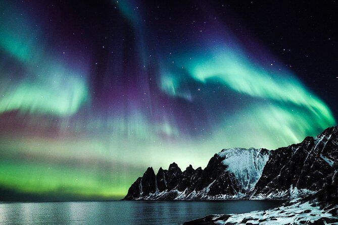 Imagen del tour: Tour privado de caza y fotografía de auroras en Islandia desde Hofn