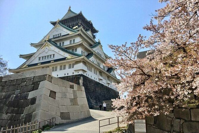 Imagen del tour: Visita guiada privada de día completo al castillo de Osaka