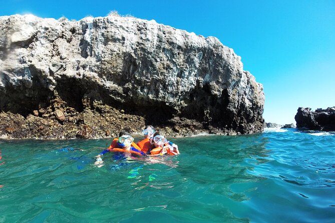 Imagen del tour: VIaje Privado Ballenas y esnorquel en Islas Marietas