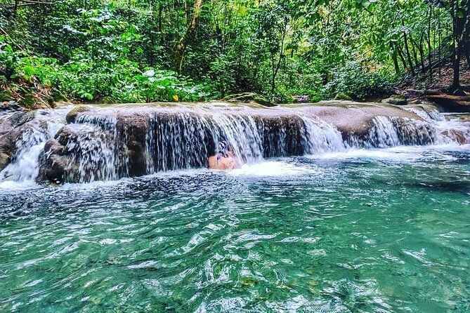 Imagen del tour: Visita guiada a las cataratas del río Dunn y la laguna luminosa con entrada desde Falmouth