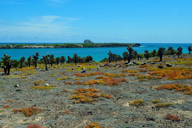 Imagen del tour: Tour de vida silvestre de 4 días en la isla Santa Cruz