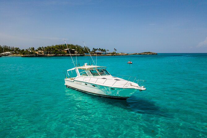Imagen del tour: Aventura privada en bote para bucear o pescar en Nassau: bote de 38 pies