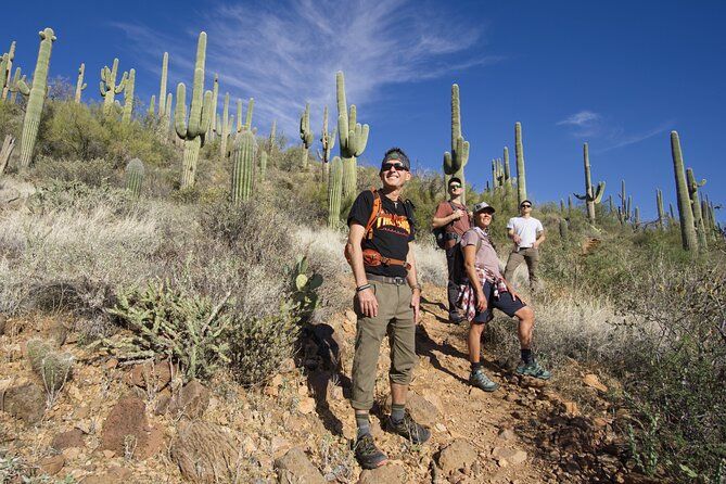 Imagen del tour: Increíble aventura de senderismo guiada de 2 horas en el desierto de Sonora
