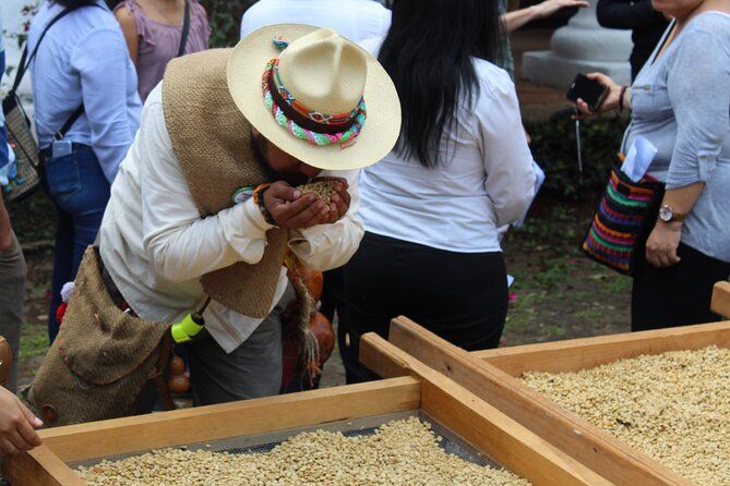 Imagen del tour: Recorrido Guiado del Café de Día Completo en Coatepec