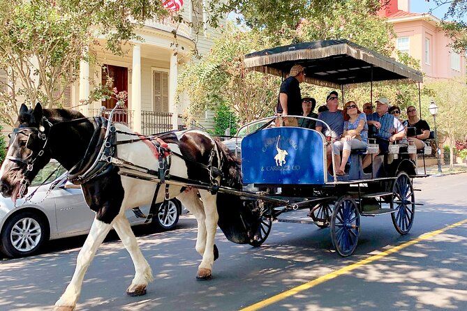 Imagen del tour: Visita turística histórica en carruaje y caballos de Charleston