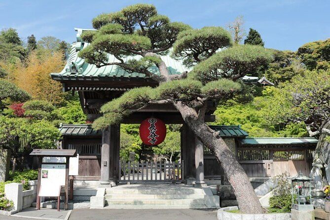 Imagen del tour: Recorrido por lo más destacado de Kamakura con ceremonia del té y recorrido por la bahía de Enoshima desde Tokio