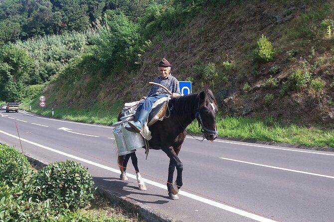 Imagen del tour: Visita guiada de día completo a las lagunas de Sete Cidades y Fogo