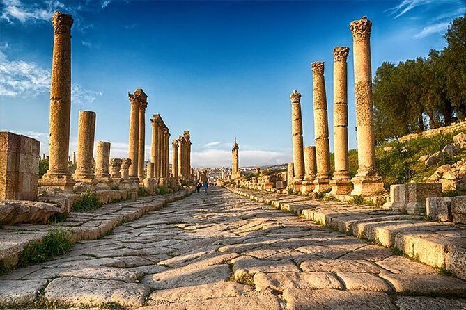 Imagen del tour: Tour privado a Jerash y Ajloun desde el Mar Muerto