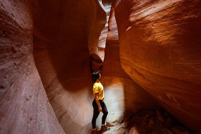 Imagen del tour: Caminata por el este de Zion Crimson Canyon y aventura en UTV