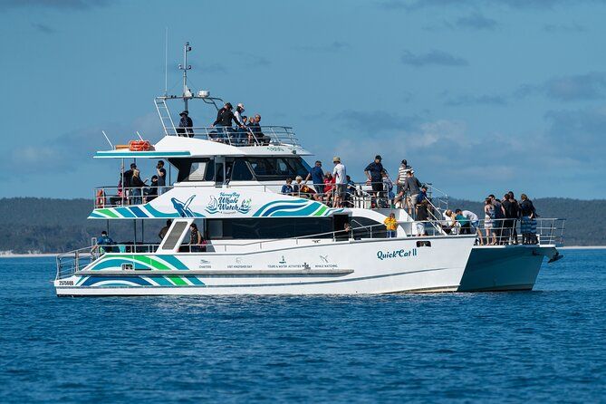Imagen del tour: Hervey Bay: crucero de avistamiento de ballenas de medio día con la mejor relación calidad-precio