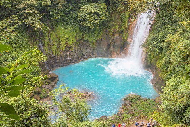 Imagen del tour: Excursión privada de un día al santuario de perezosos y cataratas de Río Celeste desde Guanacaste