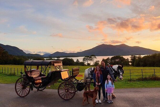 Imagen del tour: Paseo en coche por el Parque Nacional de Killarney