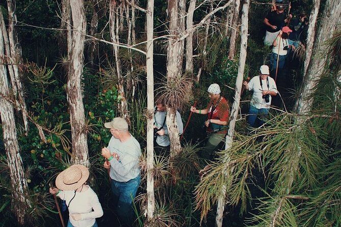 Imagen del tour: Recorrido ecológico privado guiado a pie por el pantano en Ochopee