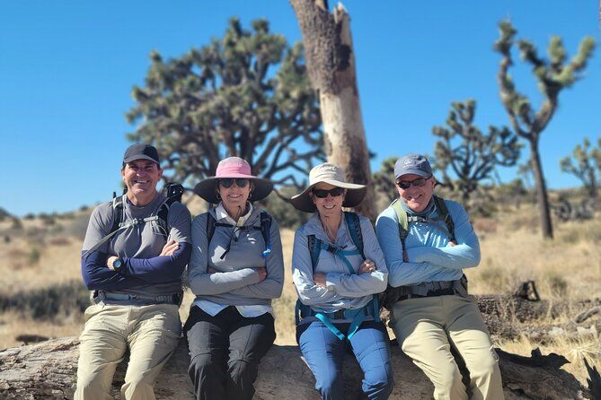 Imagen del tour: Caminata de día completo en el Parque Nacional Joshua Tree