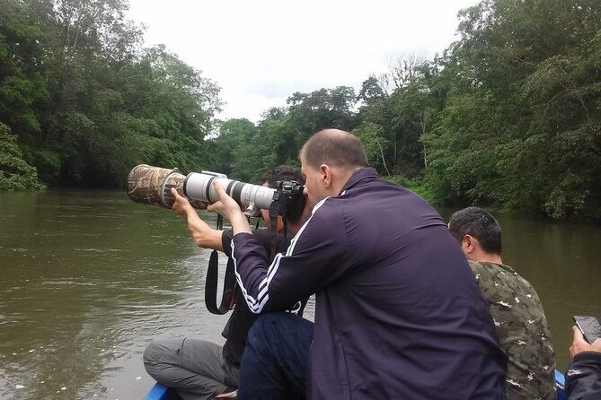 Imagen del tour: Tour privado de observación de aves y herping en Costa Rica de 8 días desde Bri Bri