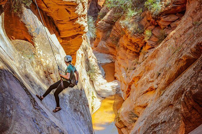 Imagen del tour: East Zion: descenso de barrancos de día completo por Powell's Way