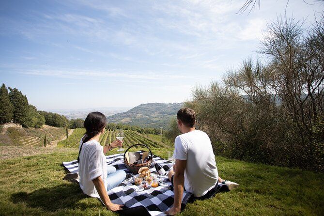 Imagen del tour: Visita a la bodega y picnic en el viñedo con una botella de vino.