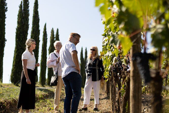 Imagen del tour: Visita a la bodega con degustación en Montalcino