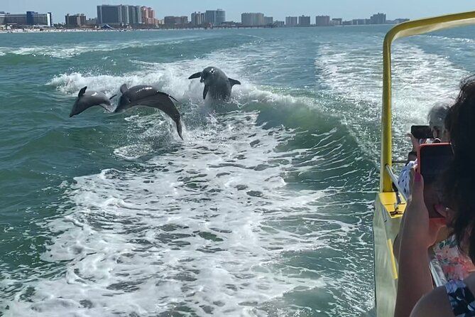 Imagen del tour: Aventura en lancha rápida Clearwater Beach Dolphin con almuerzo y transporte desde Orlando