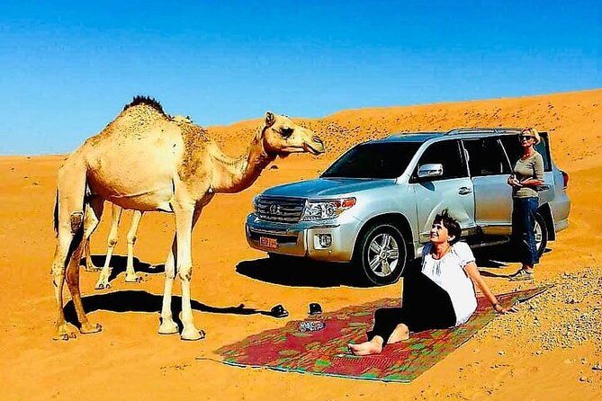 Imagen del tour: Tour privado de día completo por el desierto de Wahiba Sands y Wadi Bani Khalid