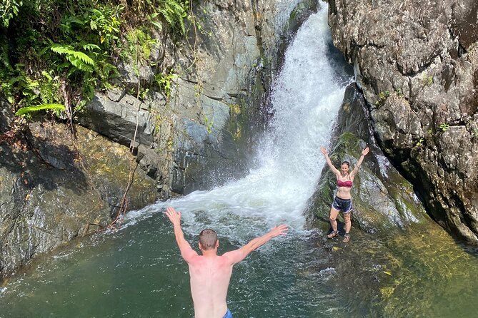 Imagen del tour: Excursión de medio día a la selva tropical de El Yunque desde Fajardo