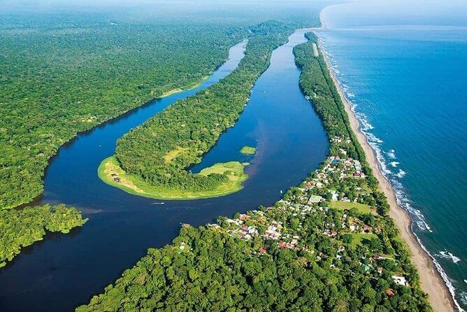 Imagen del tour: Tour de un día a Tortuguero desde San José. Grupo pequeño semiprivado