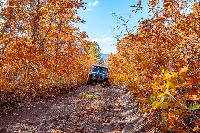 Imagen del tour: Tour en jeep por East Zion Brushy Cove