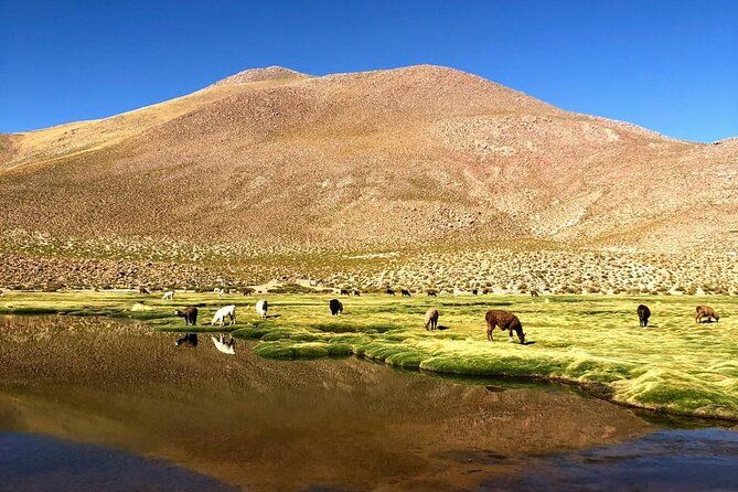 Imagen del tour: Explorando San Pedro de Atacama de 3 días