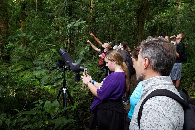 Imagen del tour: Un Día De Naturaleza En Monteverde