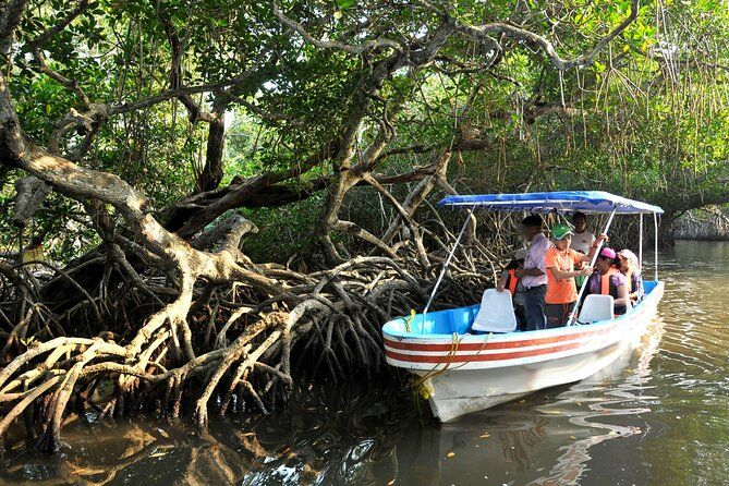 Imagen del tour: Recorrido de Ciudad por Veracruz con San Juan de Ulúa y Lancha en Mandinga