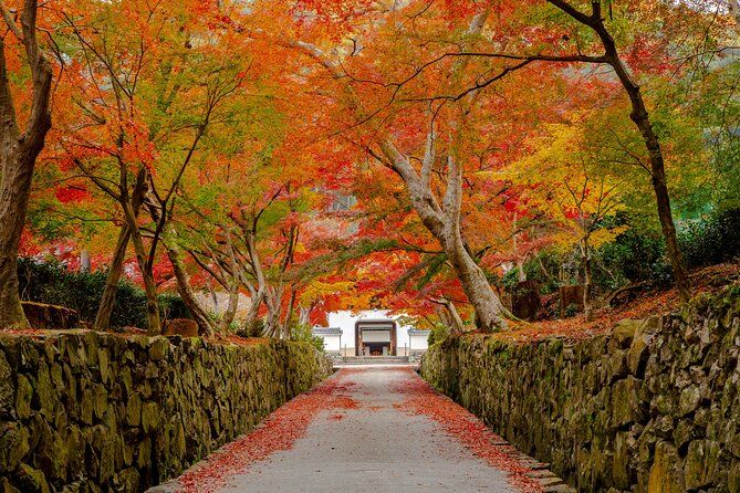 Imagen del tour: Tour privado de monjes y experiencia de Zazen en los templos de Kioto