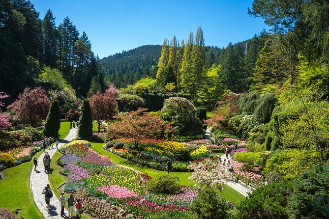 Imagen del tour: Descubra el tour por los jardines Victoria y Butchart desde Vancouver