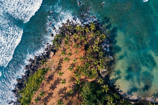 Imagen del tour: Tour privado de 8 días por lo más destacado de Sri Lanka