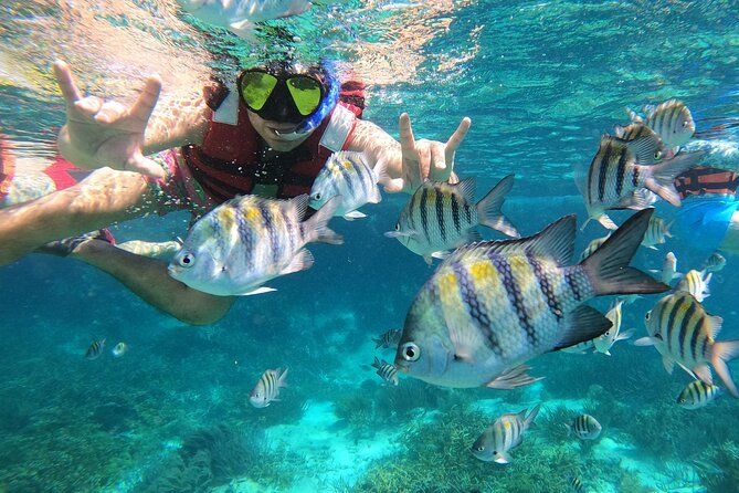 Imagen del tour: Tour semiprivado VIP de 3 horas Experiencia completa de snorkel en Isla Mujeres