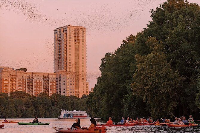Imagen del tour: Tour guiado en kayak con murciélagos al atardecer en Austin