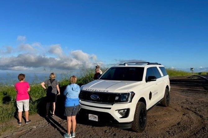Imagen del tour: Maui by Storm: Epic Private Luxury Road to Hana Adventure Tour
