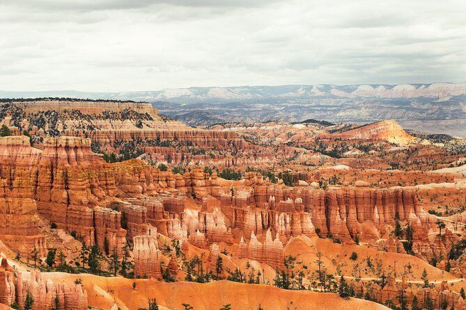 Imagen del tour: Excursión privada y caminata de día completo a Bryce Canyon