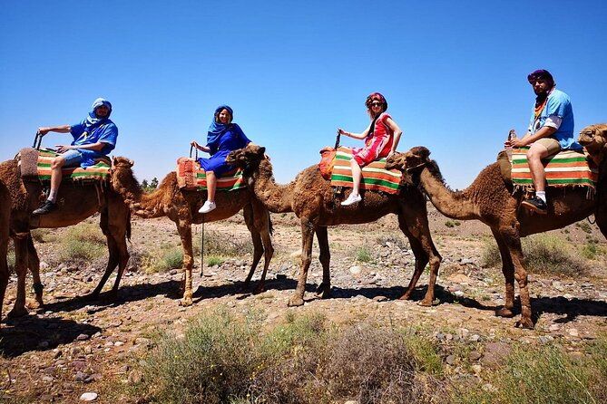 Imagen del tour: Excursión de un día a las montañas del Atlas y paseo en camello, desde Marrakech