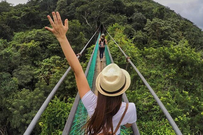 Imagen del tour: Visita Ixpanpajul: Selva, Trekking, Puentes Colgantes & Canopy - Tour desde Flores