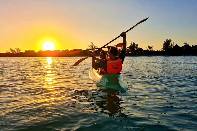 Imagen del tour: Experiencia al amanecer en kayak por los manglares
