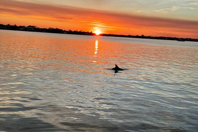 Imagen del tour: Paseos en barco de aventura - Tour acuático al atardecer en St. Augustine