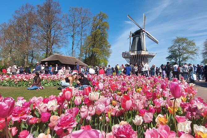 Imagen del tour: Tulip Mania: traslado a Keukenhof, Tulip Farm y Ámsterdam