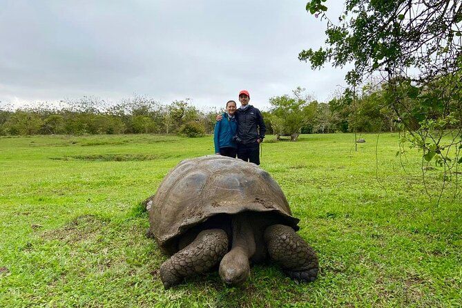 Imagen del tour: Excursión de 8 días por las islas Galápagos: Isabela, tortugas gigantes y esnórquel