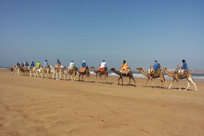Imagen del tour: Paseo en camello privado de 1 hora en Essaouira