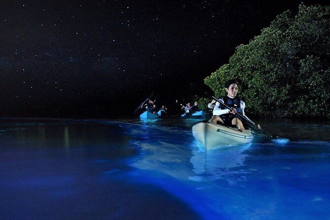 Imagen del tour: Recorrido de Bioluminiscencia en Kayak en isla Holbox