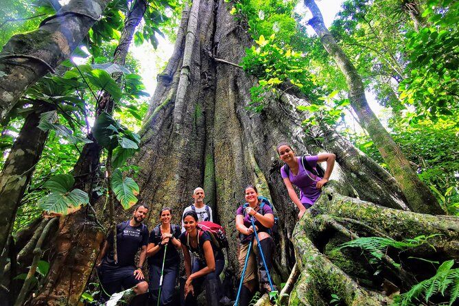 Imagen del tour: Expedición de trekking de 6 días por Ilha Grande con guía local - grupo pequeño