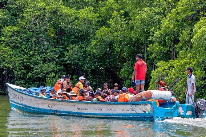 Imagen del tour: Excursión de un día a Galle desde Kalutara con almuerzo