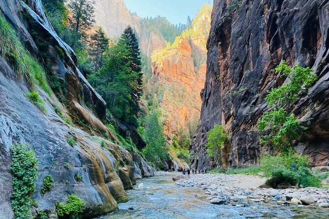 Imagen del tour: The Narrows: caminata guiada privada por el Parque Nacional Zion