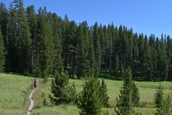 Imagen del tour: Caminata clásica de Yellowstone a las orillas del lago Shoshone (privado hasta 8 personas)