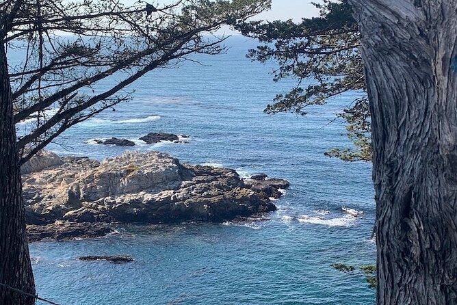 Imagen del tour: Monterey Carmel Big Sur Pebble Beach en vehículo de lujo 6 horas ~